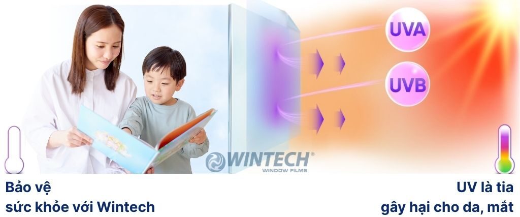 Bảng Giá Phim Cách Nhiệt Wintech Hàn Quốc