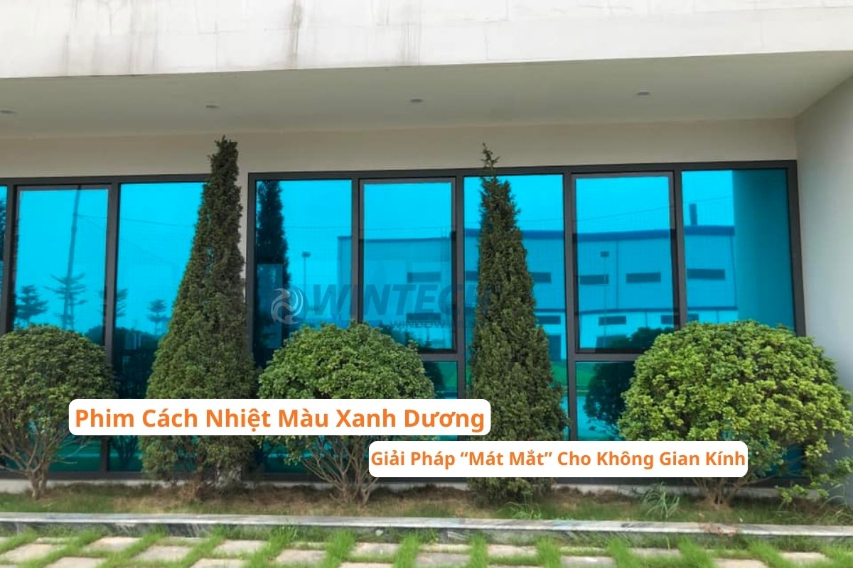 Phim Cách Nhiệt Màu Xanh Dương Wintech Hàn Quốc