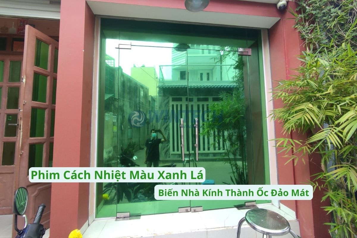 Phim cách nhiệt màu xanh lá Wintech