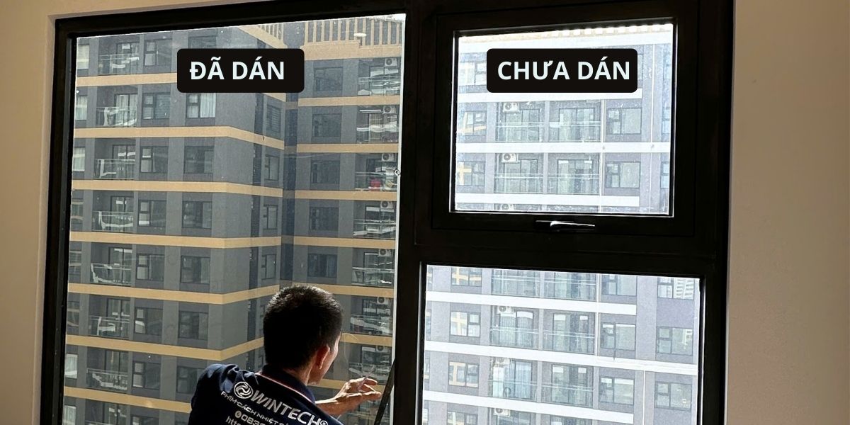 Dán Kính Chống Sáng