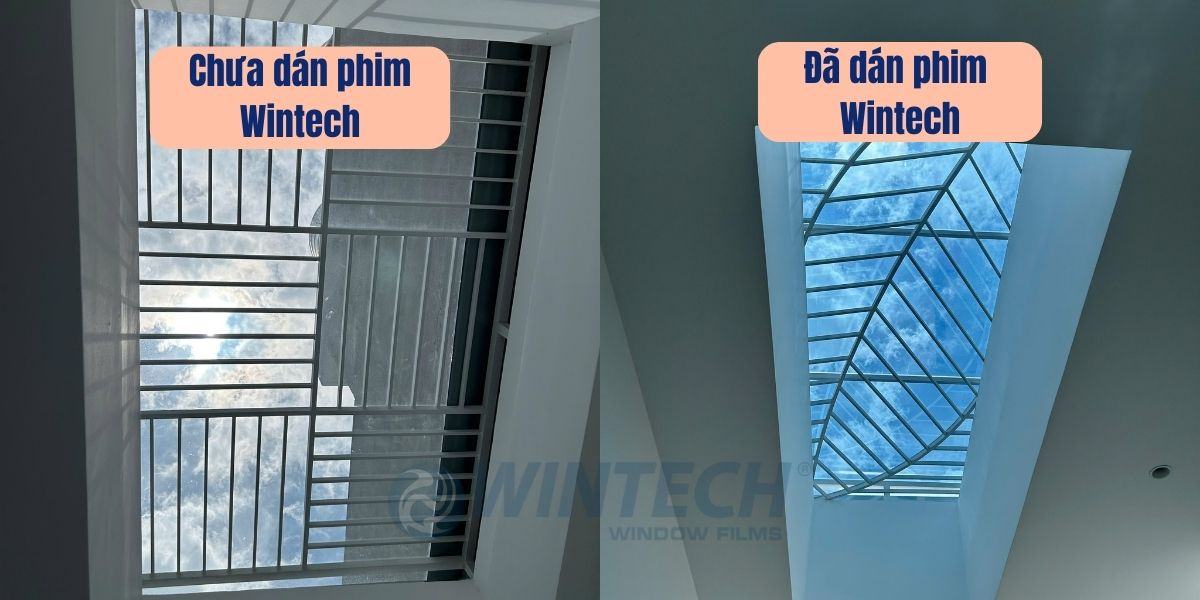 Dan-Mai-Kinh-Chong-Nang-Nong