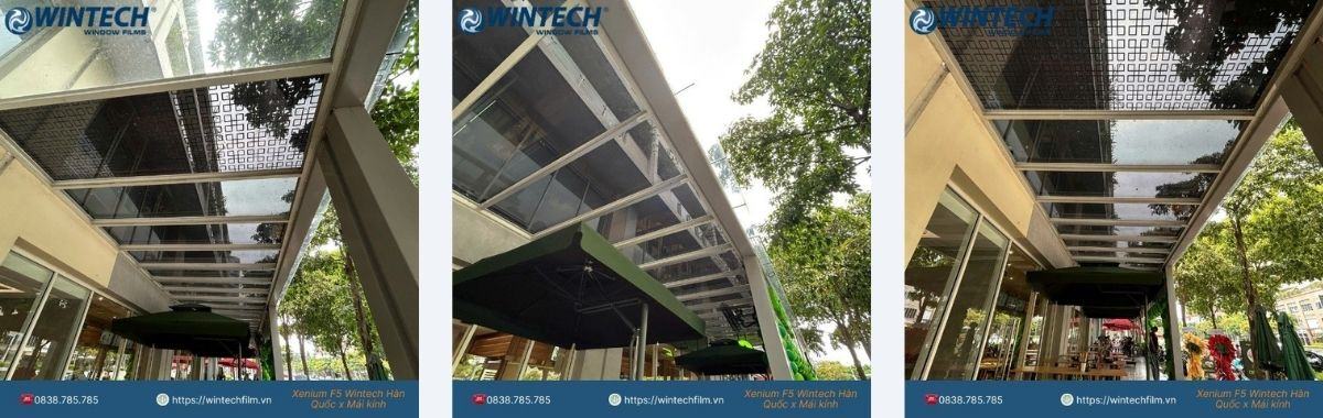 Dan-Mai-Kinh-Chong-Nang-Nong