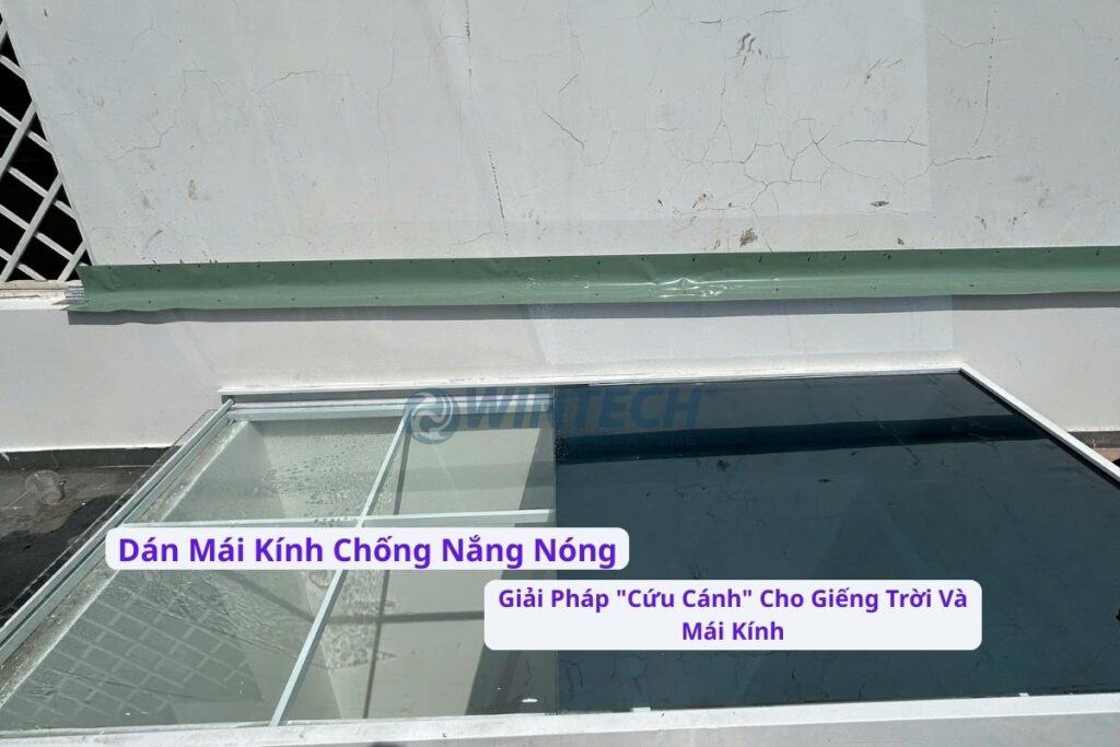 Dan-Mai-Kinh-Chong-Nang-Nong