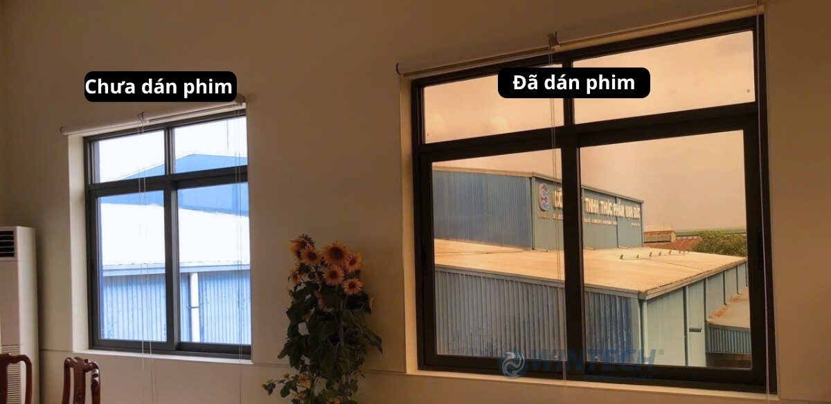 Phim-Cach-Nhiet-Mau-Tra