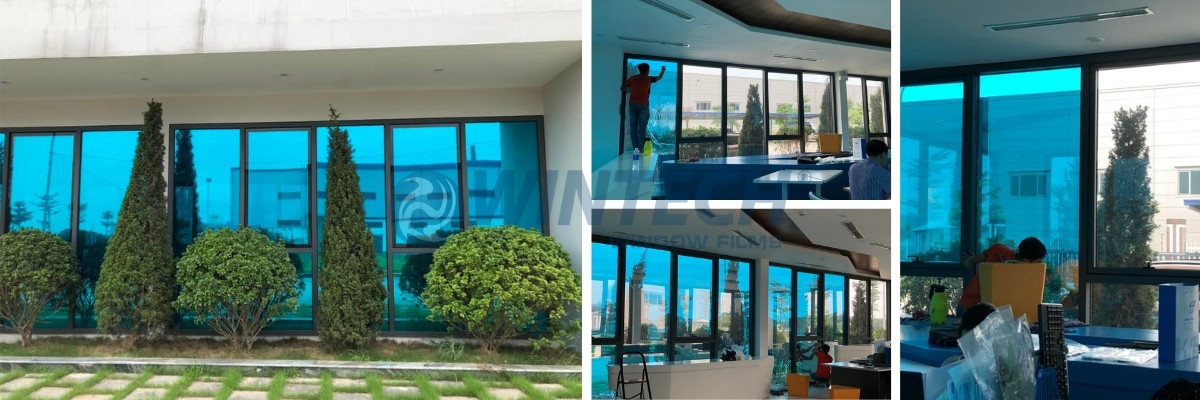 Phim-Cach-Nhiet-Mau-Xanh-Duong