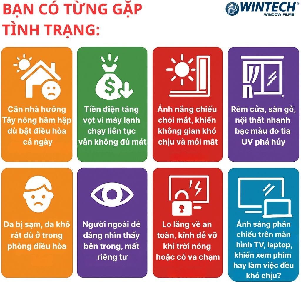 Phim Cách Nhiệt Nhà Kính Wintech Hàn Quốc 