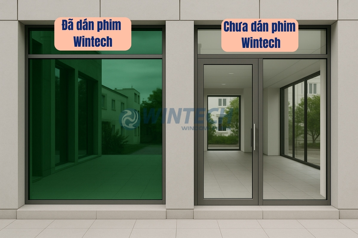 Phim-cach-nhiet-mau-xanh-la