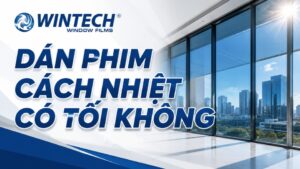 dán phim cách nhiệt có tối không