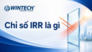 Chỉ số IRR là gì