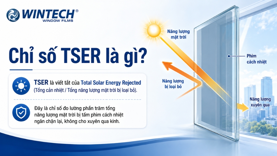 Chỉ số TSER là gì