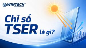 Chỉ số TSER là gì