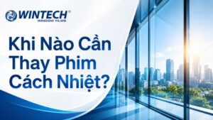 Khi Nào Cần Thay Phim Cách Nhiệt