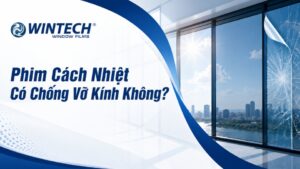 Phim Cách Nhiệt Có Chống Vỡ Kính Không