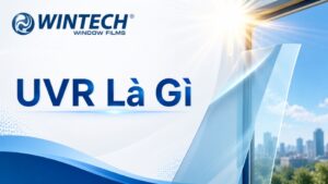 UVR là gì