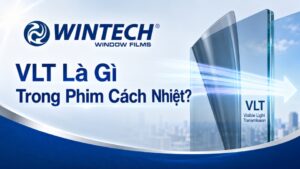 VLT Là Gì Trong Phim Cách Nhiệt