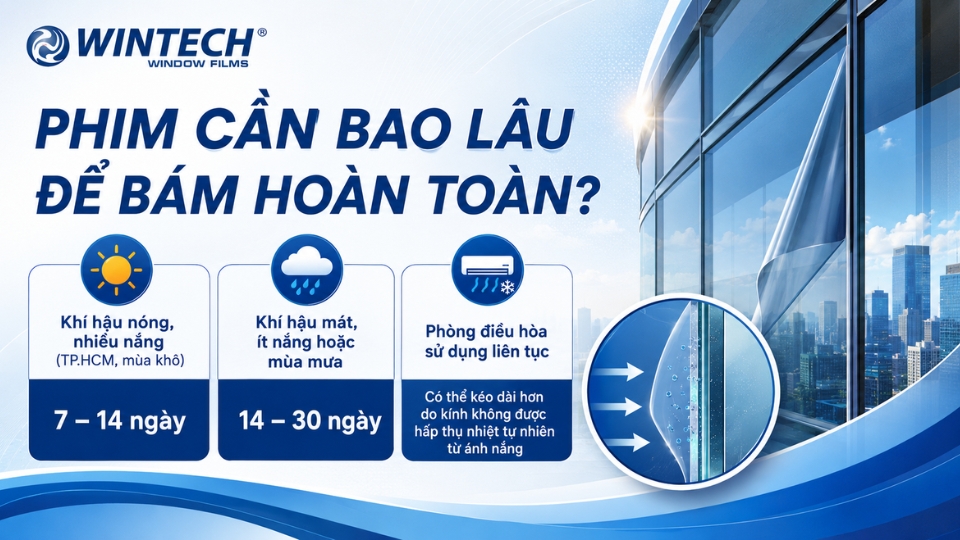 dán phim cách nhiệt mất bao lâu
