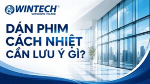 mới dán phim cách nhiệt cần lưu ý gì