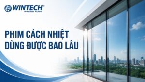 phim cách nhiệt dùng được bao lâu