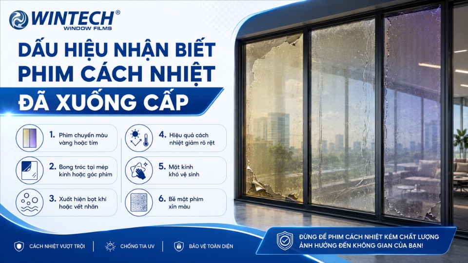 phim cách nhiệt dùng được bao lâu